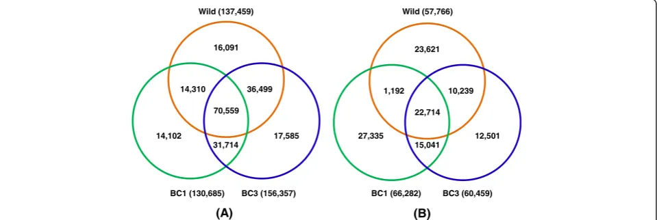 Figure 3 Comparisons of polymorphic SNPs and monomorphic SNPs among three groups of fish