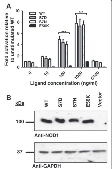 Figure 3 Serine 7 shows limited conservation in mammalianNOD1. A sequence logo representation of the first 10 amino acidsof NOD1 in which letter height reflects the likelihood of finding aparticular residue in that position
