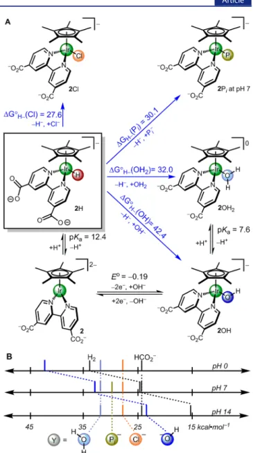 Figure 3. (A) Summary of thermochemical values of [Cp*Ir(bpy- [Cp*Ir(bpy-COO)(H)] − (2H)