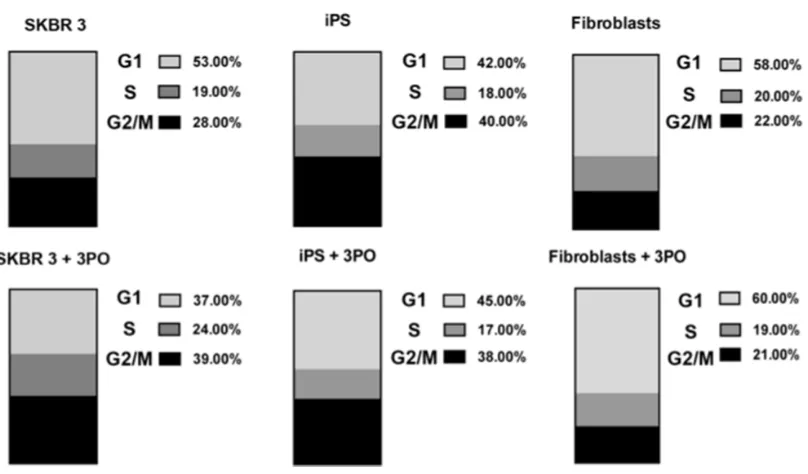 Figure 8: Effect of 3PO on cell cycle phase distribution. A. Changes of the G2 fraction of SKBR 3 cells following addition of the PFKFB3 inhibitor 3PO (10 µM)