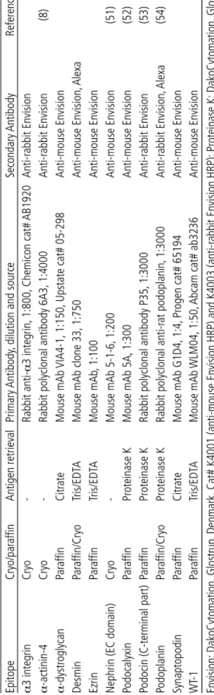 Table 2: Antibodies EpitopeCryo/paraffinAntigen retrievalPrimary Antibody, dilution and sourceSecondary AntibodyReference α3 integrinCryo-Rabbit anti-α3 integrin, 1:800, Chemicon cat# AB1920Anti-rabbit Envision α-actinin-4Cryo-Rabbit polyclonal antibody 6A