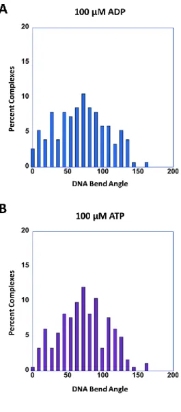 Figure 4.3 : MutSα-induced GC-DNA bend angles 