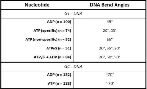 Table 4.1 : Summary of MutSα-induced DNA bend angles 