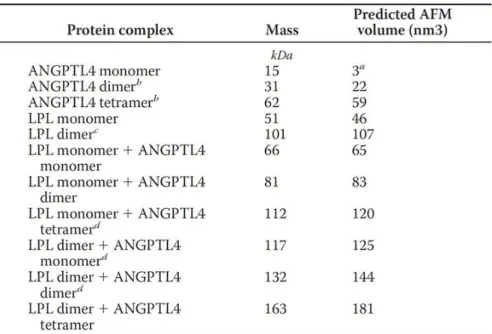 Table 5.1 : Predicted AFM volumes based on the linear dependency of AFM volume  to protein molecular weight: V = 1.2 * M – 14.7, where V is AFM volume in nm3,  and M is molecular mass in kDa 