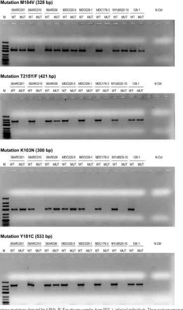 FIG 1 HIV-1 drug resistance mutations detected by ARMS-PCR in plasma samples from HIV-1-infected individuals