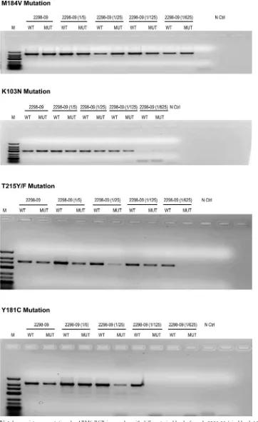 FIG 3 Detection of HIV-1 drug resistance mutations by ARMS-PCR in samples with different viral loads