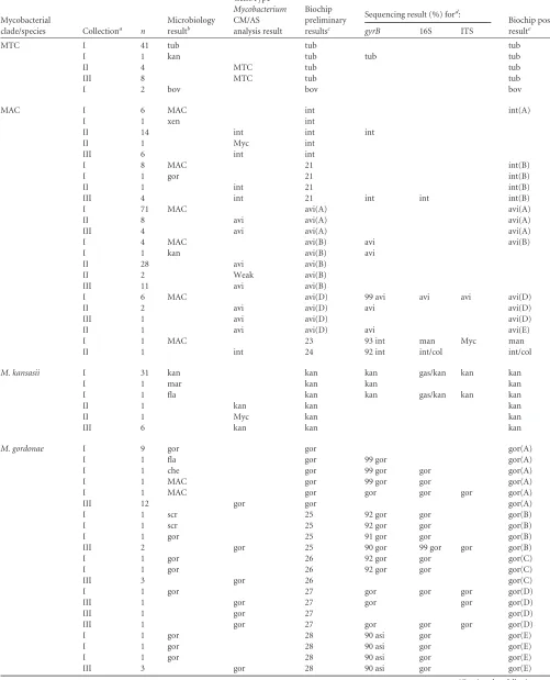 TABLE 1 Comparison of microarray species identiﬁcation results of clinical strains with microbiology data from the GenoTypeAS system and sequence analysis of the Mycobacterium CM/ gyrB, 16S, and ITS loci for three collections of clinical isolates