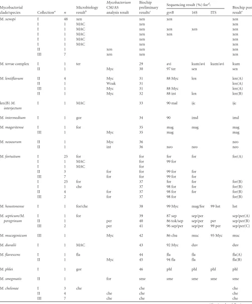 TABLE 1 (Continued)