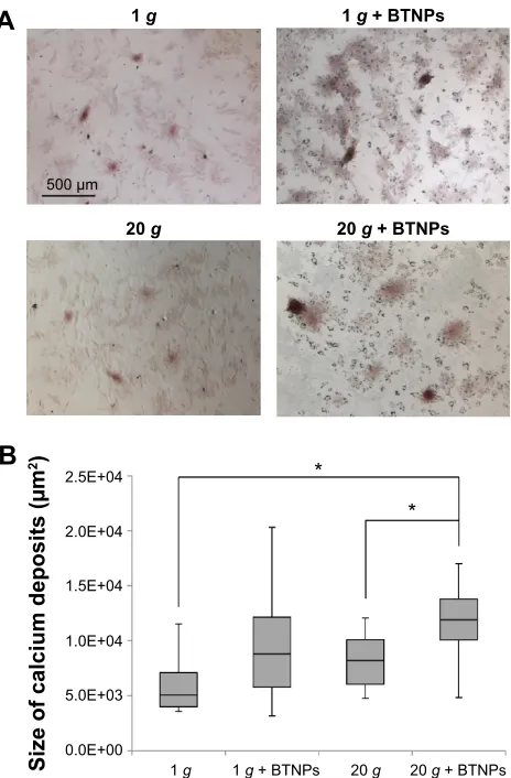 Figure 6 Protein-expression analysis.Notes: Western blotting 48 hours after treatment for collagen type I (cOl1; the largest band [150 kDa] corresponds to the two α1 chains, the smallest one indicates the α2 chain [170 kDa]) and for alkaline phosphatase (a