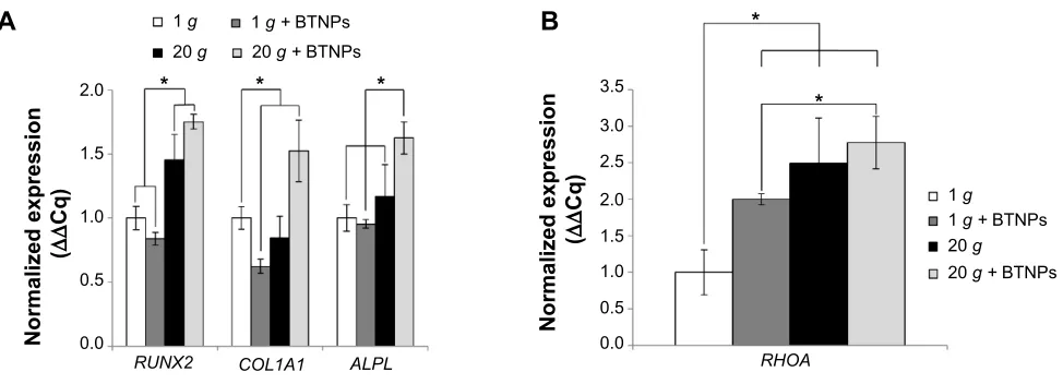 Figure 5 Quantification of transcribed genes.Notes: *P0.05. analysis of osteogenesis-marker genes in differentiating cells 48 hours after treatment: runt-related transcription factor 2 (RUNX2), type I collagen alpha-1 (COL1A1), and alkaline phosphatase (A