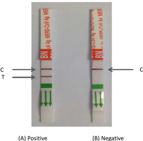 FIG 1 ICA procedure. C, control line; T, test line. Shown are a positive result(A) and a negative result (B).