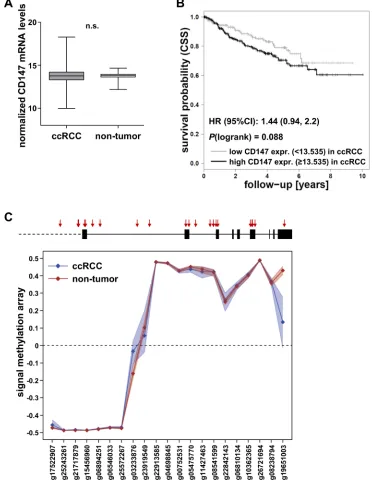 Figure 2: Evaluation of CD147 mRNA levels and CD147/BSG DNA methylation in ccRCC cohort 2 (TCGA)