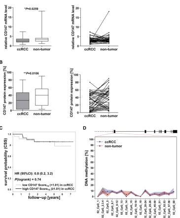 Figure 3: Evaluation of CD147 expression and CD147/BSG promoter DNA methylation in cohort 3