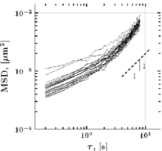 Figure  10:  Path-wise  MSD  for  the  22  experimental  particle  paths.  The  dashed  line  indicates  a  slope  of  1,  corresponding to normal diffusion