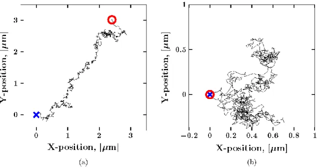 Figure  3:  Sample  Brownian  path  with  drift  (a)  and  after  the  drift  has  been  removed  by  subtracting  the  mean  displacement from each increment (b)