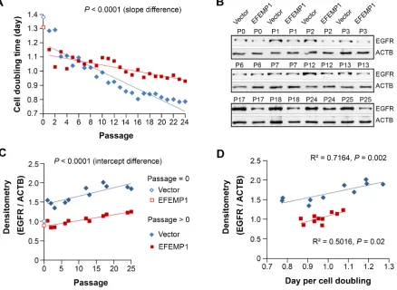 Figure 6: EFEMP1 does not suppress the alteration of subpopulation equilibrium in vitro