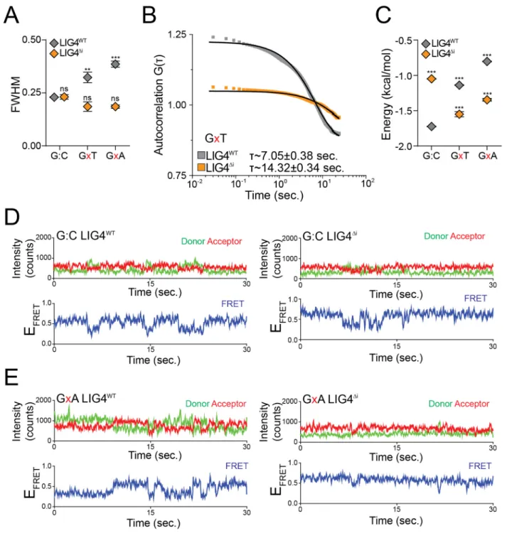 Figure 2.4: Effect of distorted ends on pairing dynamics of single molecule  complexes with LIG4 WT  or LIG4 Δi