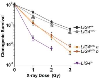 Figure 2.9: Effect of LIG4 insert1 on cellular sensitivity to ionizing radiation   Cells were exposed to indicated doses of X-rays and assessed for colony formation