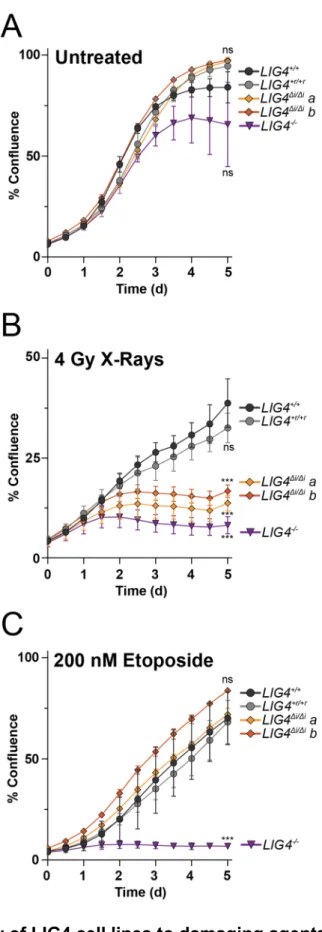 Figure 2.10: Sensitivity of LIG4 cell lines to damaging agents 