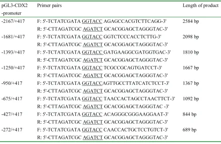 Table 1: The primer sequences used in the each CDX2 promoter fragment