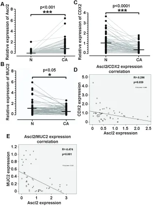 Figure 7: Correlations between Ascl2 mRNA levels and CDX2 and MUC2 mRNA levels in human colorectal carcinoma tissues
