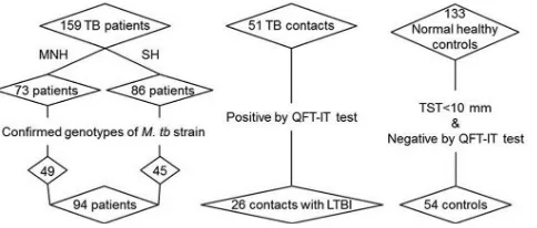 FIG 1 Enrollment of study participants. In total, 159 active TB patients, 51 TBcontacts, and 133 healthy subjects were recruited from Mokpo National Hos-pital (MNH) and from Severance Hospital (SH)