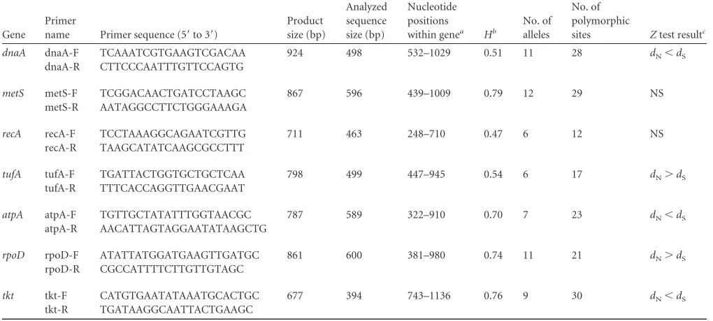 TABLE 1 Primer sequences and main characteristics of selected loci in M. bovis MLST typing scheme