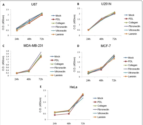 Figure 4 Effect of ECM proteins on cancer cell proliferation. (A) U87 cells, (B) U251N cells, (C) MDA-MB-231, (D) MCF-7, (E) HeLa cells