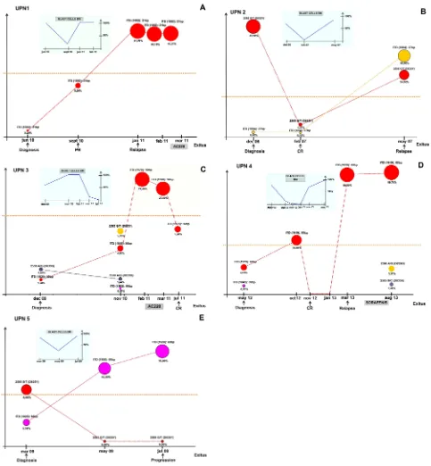 Figure 2: Evolution of FLT3 ITD+ clones during the disease course in 5 CN-AML analysed by UDS