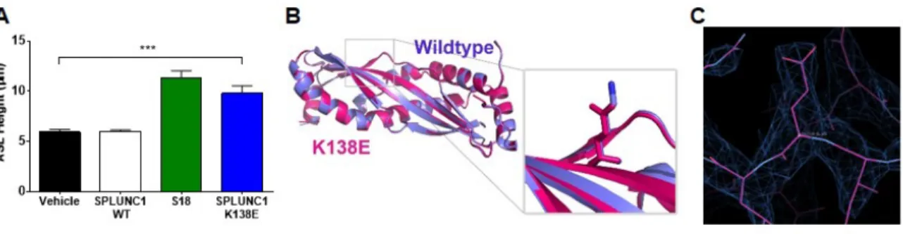 Figure 2.5 SPLUNC1 K138E  Protein Restoration of ASL-height at Acidic pH is Not  the Result of a Structural Change 