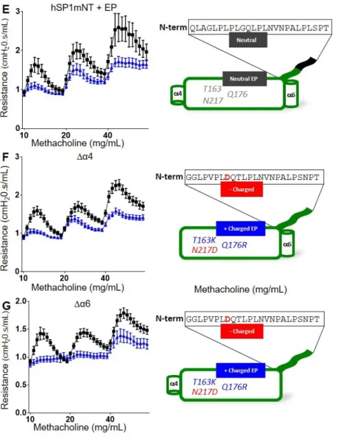 Figure 2.8 Both the N-terminus and Electrostatic Patch are Necessary for AHR- AHR-reduction 
