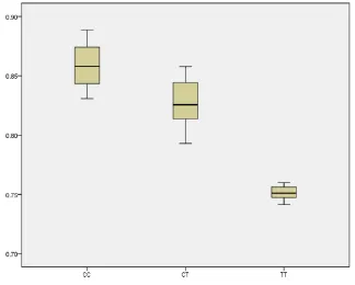 Figure 1: Boxplot for the RTL with different genotype of SNP rs2736098. 