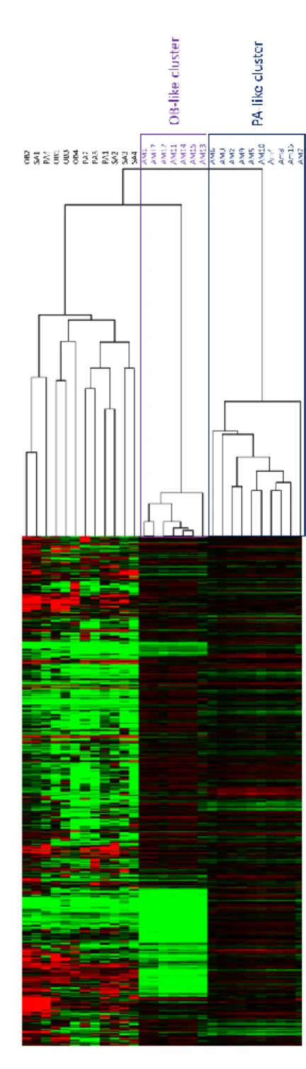 Figure 3.3: Unsupervised hierarchical cluster analysis of reference tissue with tumor samples