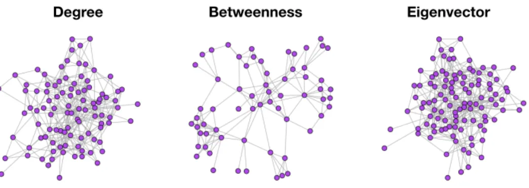Figure 1.5: Centralities on the single cell network. The second order ego network for the highest centrality nodes in the single cell network according to degree, betweenness, and eigenvector in the left, center, and right plots, respectively