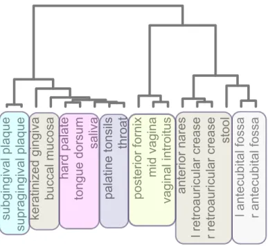 Figure 2.5: Comparison of sMLSBM on the OTU interaction networks (Friedman and Alm, 2012) for each of the body sites to a reducibility hierarchy (De Domenico et al., 2015b)