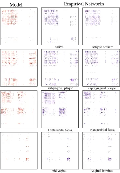 Figure 2.6: Visualization of Strata in SparCC Networks. We visualize the adjacency matrices for SparCC networks that encode microbiome interactions at body sites