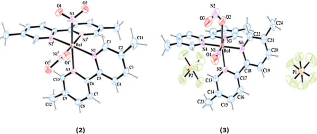Fig. 1. ORTEP structures of cis-[Ru(NO 2 ) 2 (5,5 0 -Mebipy) 2 ]3.5H 2 O (2) and cis-[Ru(NO)(NO 2 )(5,5 0 -Mebipy) 2 ](PF 6 ) 2 (3)