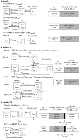 Figure 2. Schematic diagram depicting the mechanistic pharmacokinetic models (left) and  experimental protocols (right) in SCH
