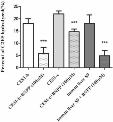 Figure 6. Inhibition Studies on C2E5 Hydrolysis