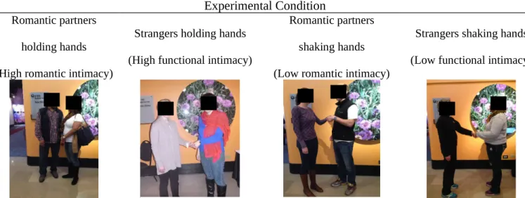 Table 1. Sample photographs from each of the four experimental conditions in Experiment 7