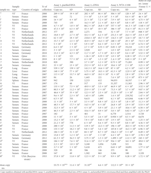 TABLE 1 The 48 positive EAV samples tested with their origin, year of collection, and copy numbersa