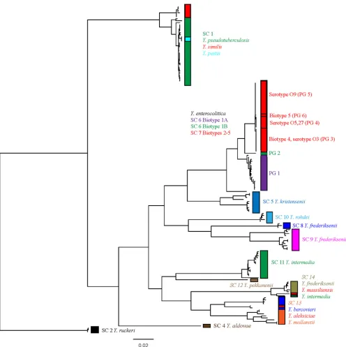 FIG 2 Maximum likelihood phylogeny of concatenated alleles derived from every unique sequence type obtained from 171 genomes from across the genus