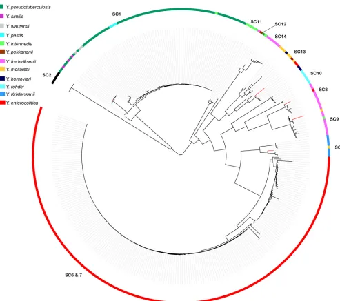 FIG 3 Maximum likelihood phylogeny of concatenated alleles derived from 385 reference laboratory strains ofeach clade as SC, with the biochemically determined species of each strain denoted by the described color coding