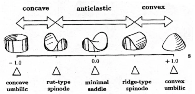 Figure 3.2: Shape index S. The shape index is a curvature-based metric that intu- intu-itively captures local shape