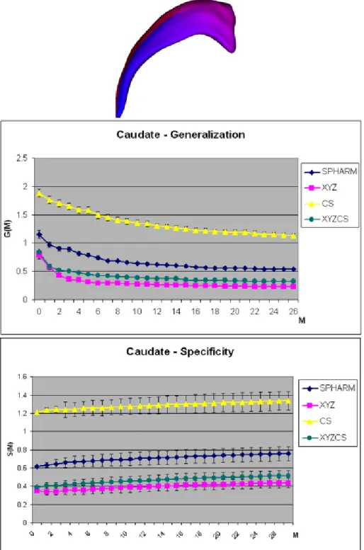 Figure 3.7: Top, the shape and SPHARM parameterization of a typical caudate nucleus. Middle and bottom, the generalization (G(M )) and specificity (S(M ))  com-parison on a population of caudates