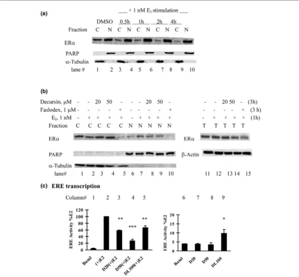Figure 6Effects of pyranocoumarins on estrogen receptor alpha nuclear translocation and transactivation in MCF-7 cellsEffects of pyranocoumarins on estrogen receptor alpha nuclear translocation and transactivation in MCF-7 cells