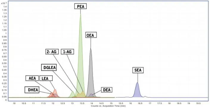 Figure 1: Overlay of MS/MS chromatograms of endocannabinoids and related NAEs in standard mix 