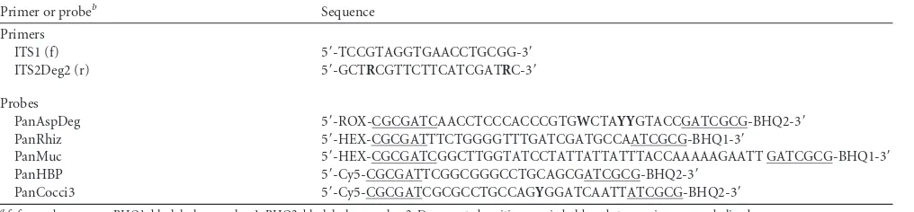 TABLE 1 Sequences of primers and probes designed for the new panfungal qPCR assaya