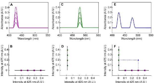 Figure 2.1.  Representation of UV-VIS data in an intensity space.  A)  UV-VIS  spectra of component X in concentrations [X] (solid line) to [2X], [3X], and [4X] (dashed  lines)