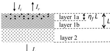 Figure 2. 
  consists of two parts: the ﬁber layer of thickness L and the backinglayer
